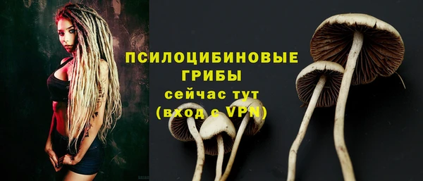 дживик Алзамай